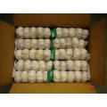 2021 Wholesale Export Natural Chinese High Quality Fresh Normal White Garlic